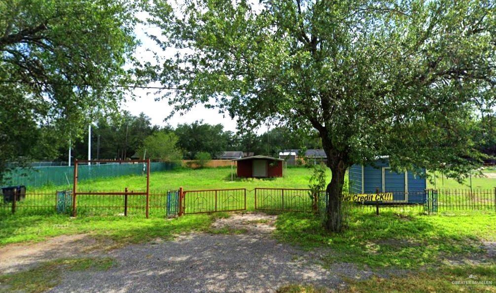 a view of a park with a large tree