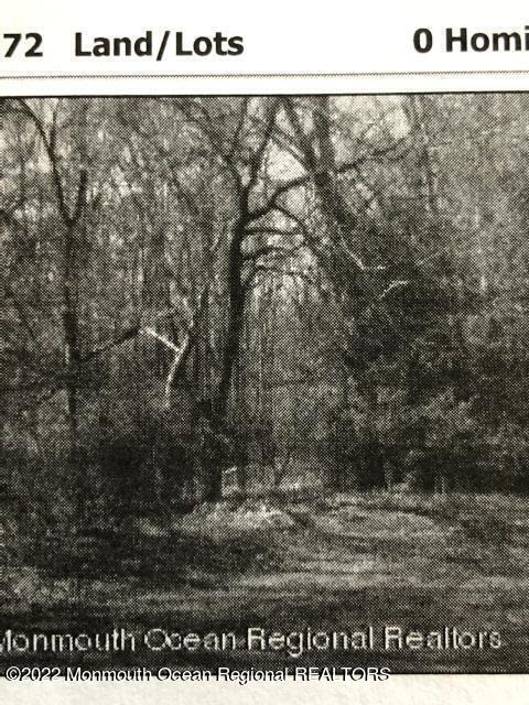 a black and white photo of a field