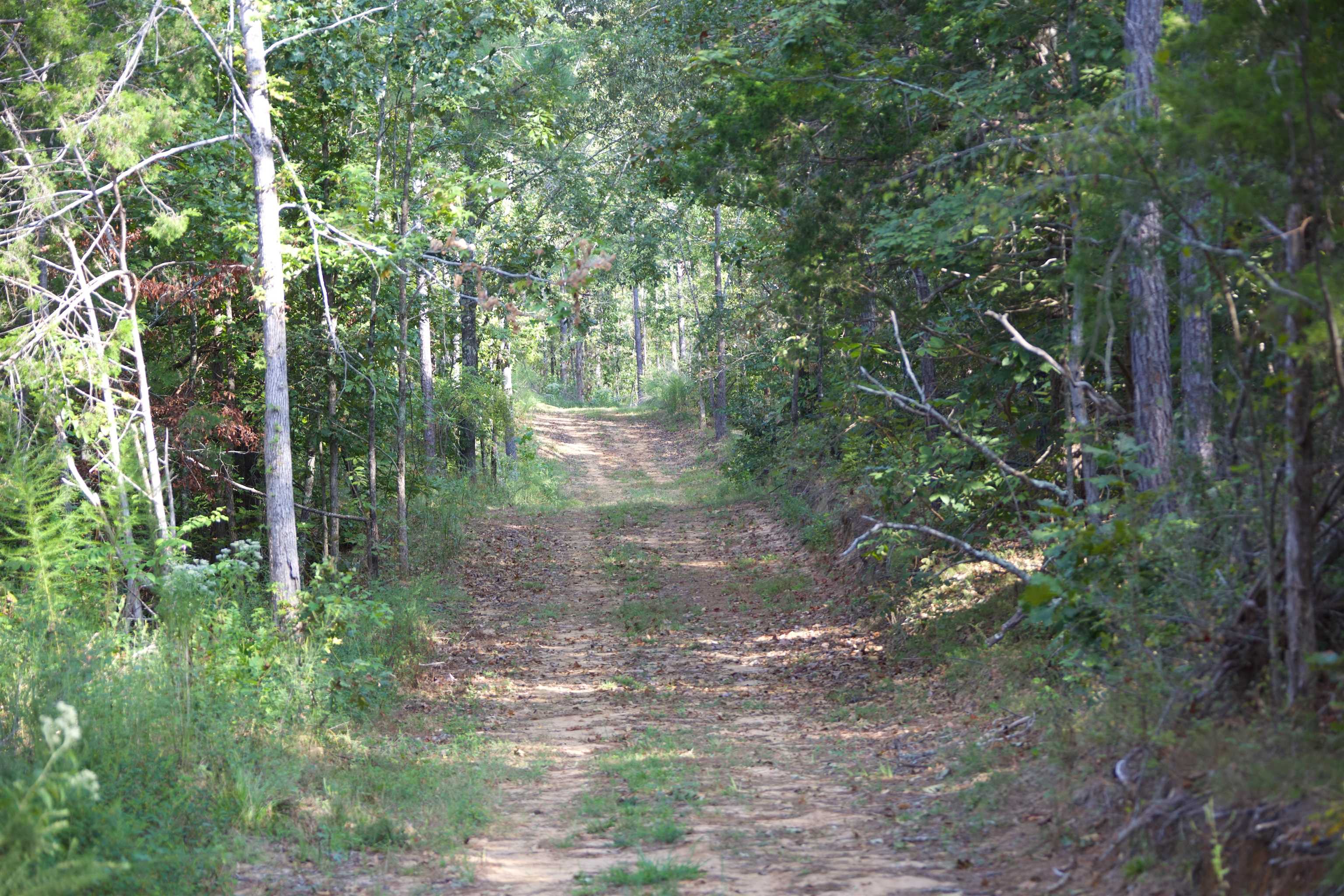 View of landscape