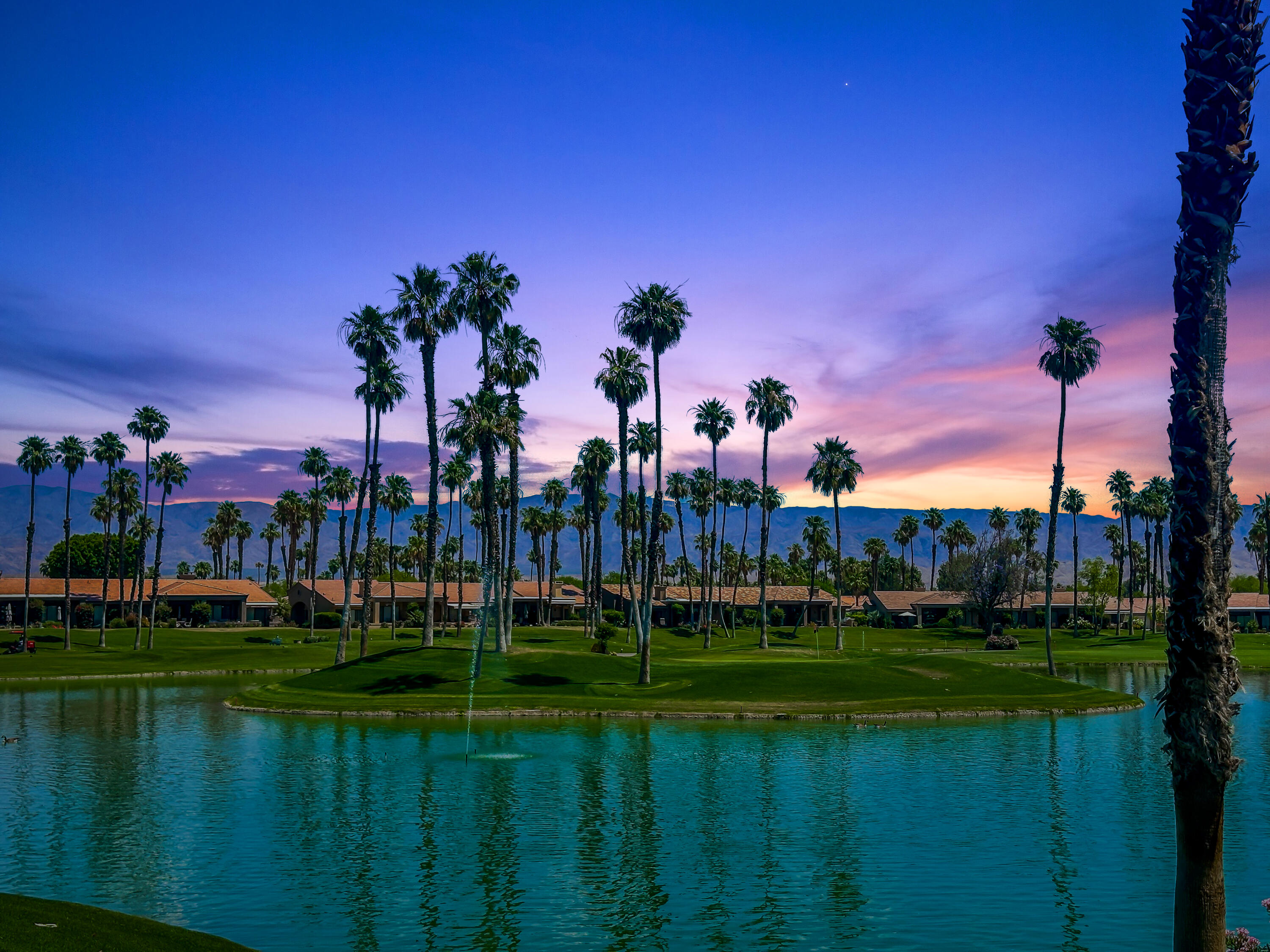 a view of a park with houses