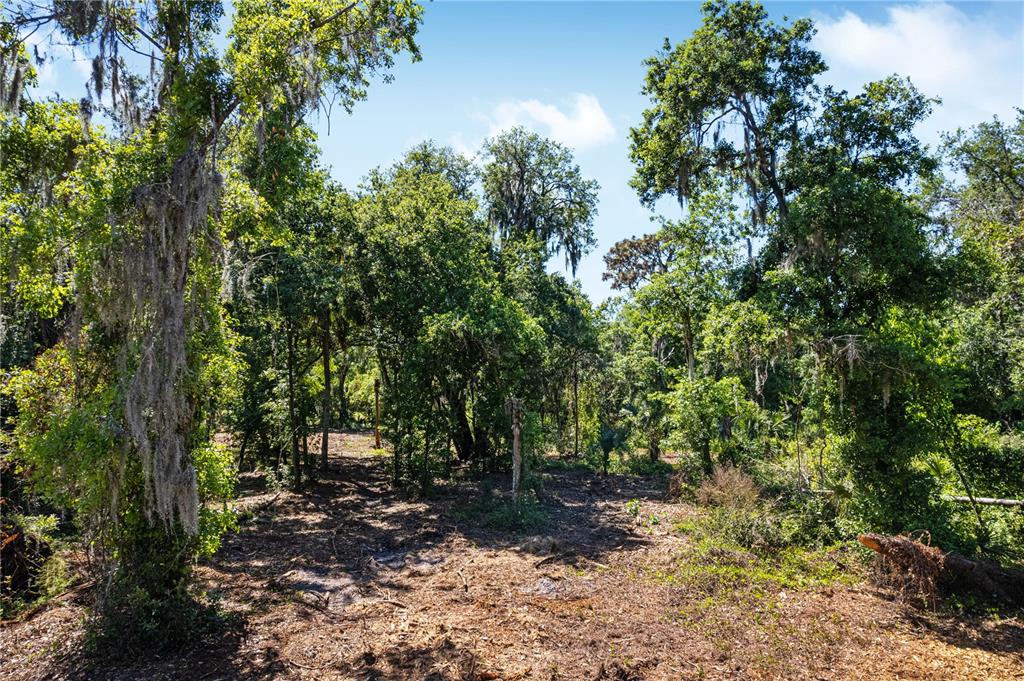 a backyard of a house with lots of trees