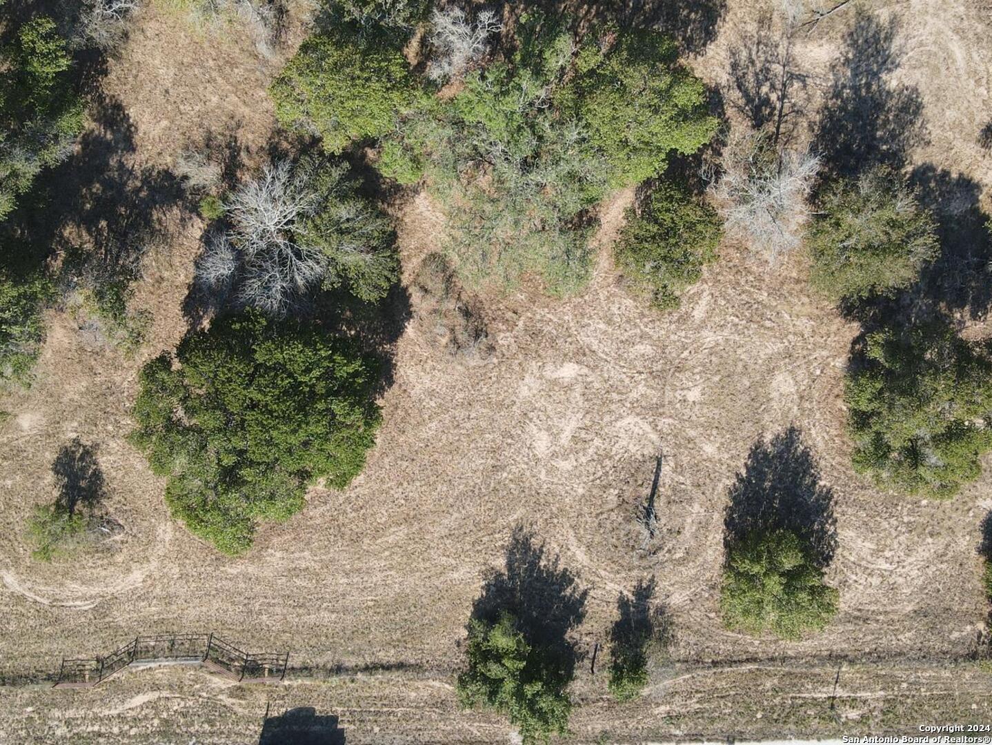 a plant with top of a road