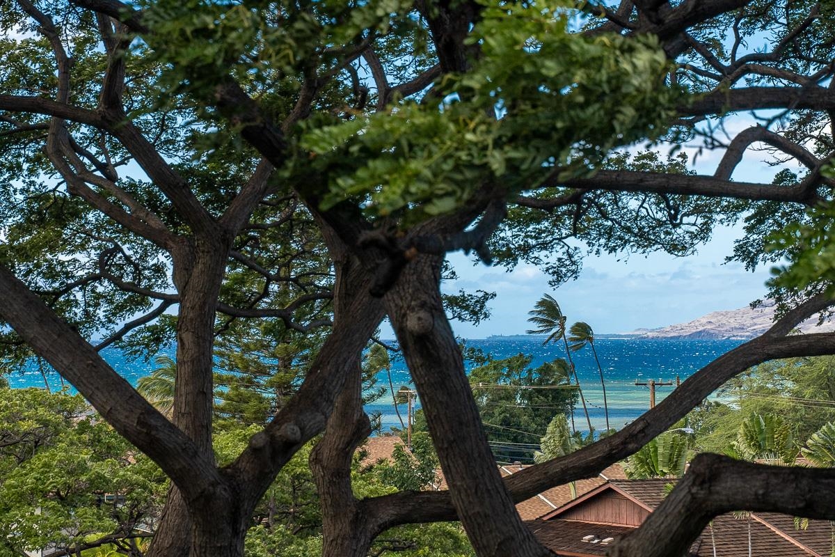 a view of a yard from a balcony