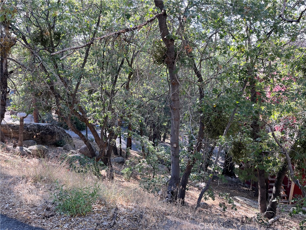 a backyard of a house with lots of trees