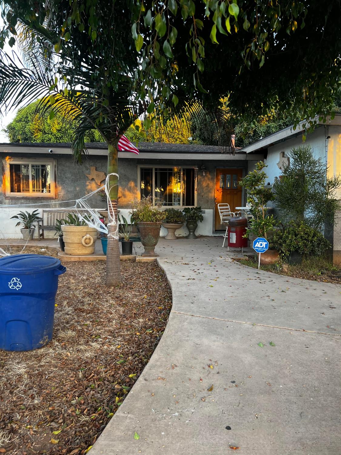 front view of a house with a tree