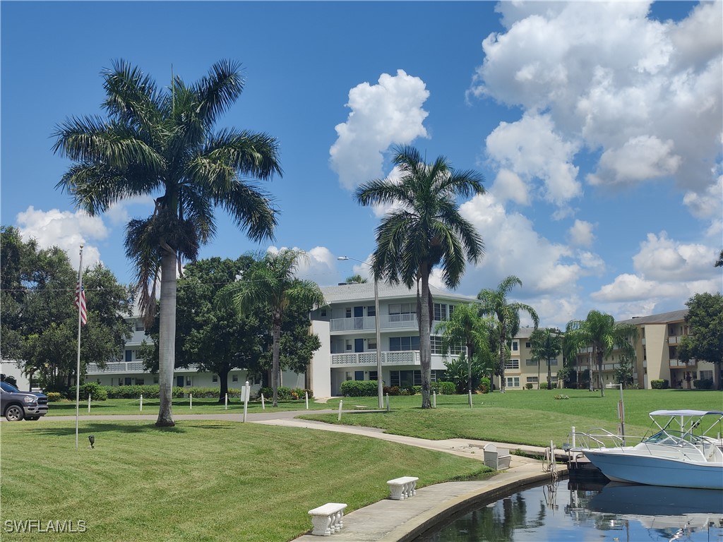 a view of a park with lots of palm trees