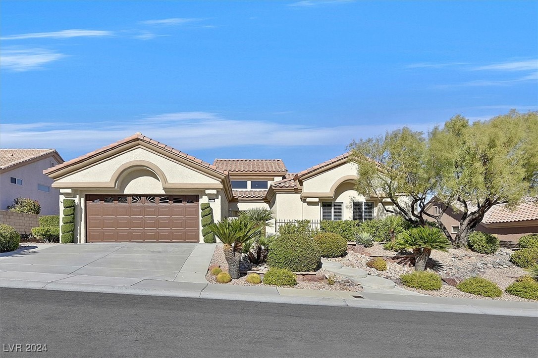 Beautifully Landscaped Front Yard