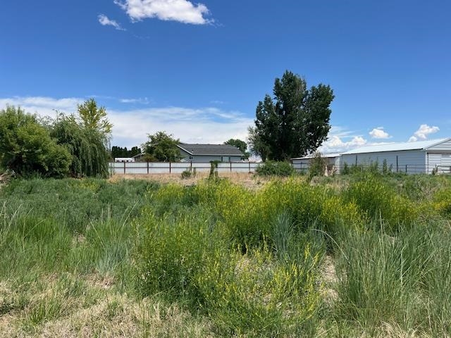 a view of backyard with green space