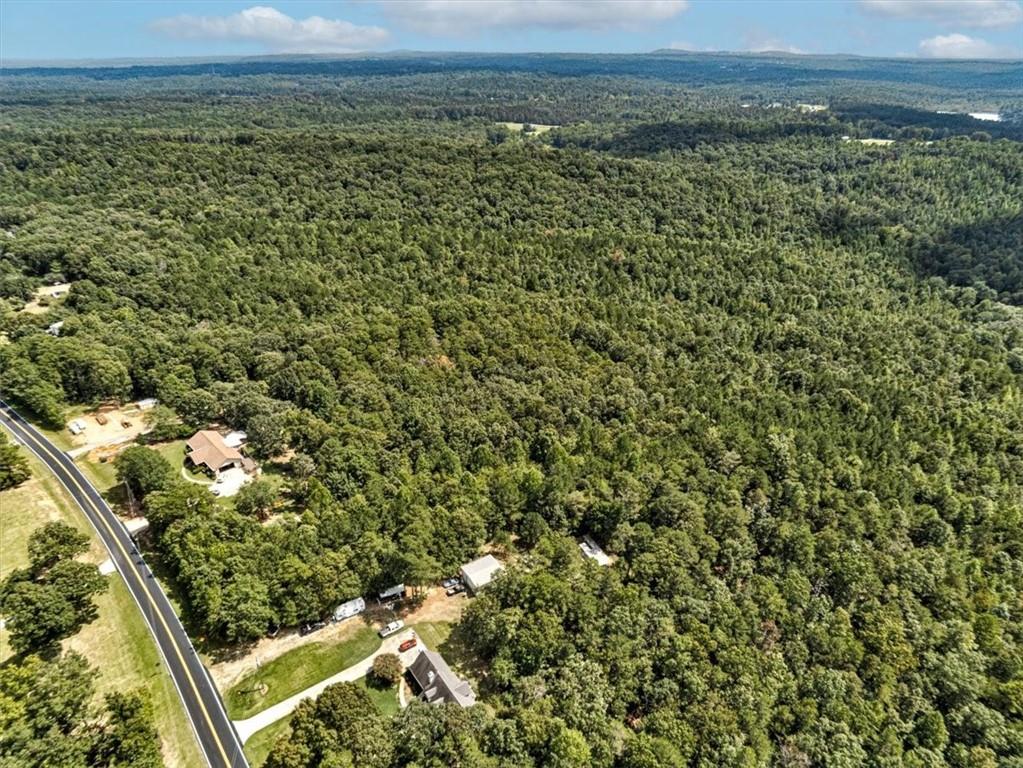 a view of a bunch of trees and bushes