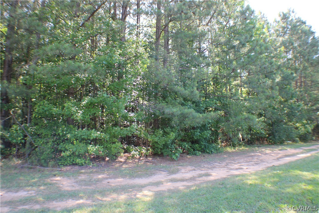 a view of a yard with a trees