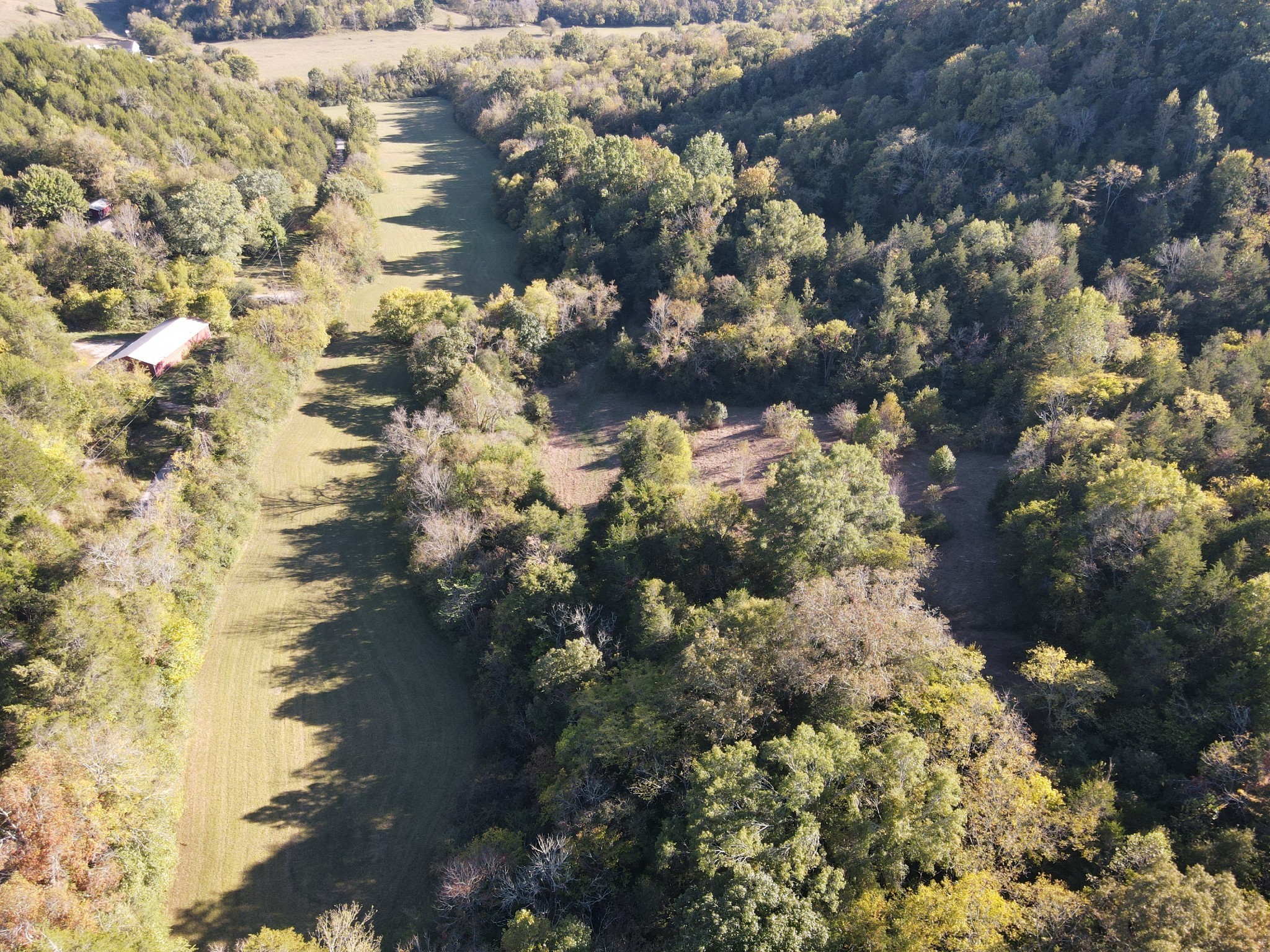 a view of outside plants and trees