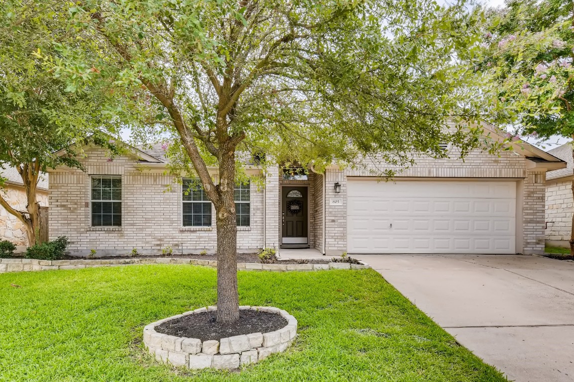 a front view of a house with a yard and tree