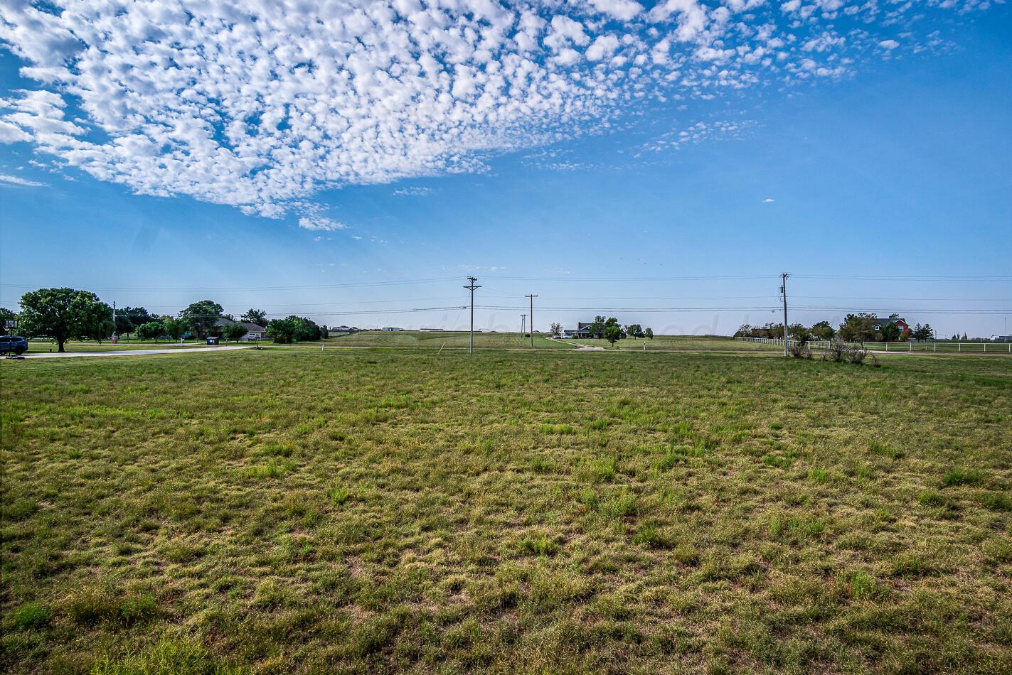 a view of a large yard