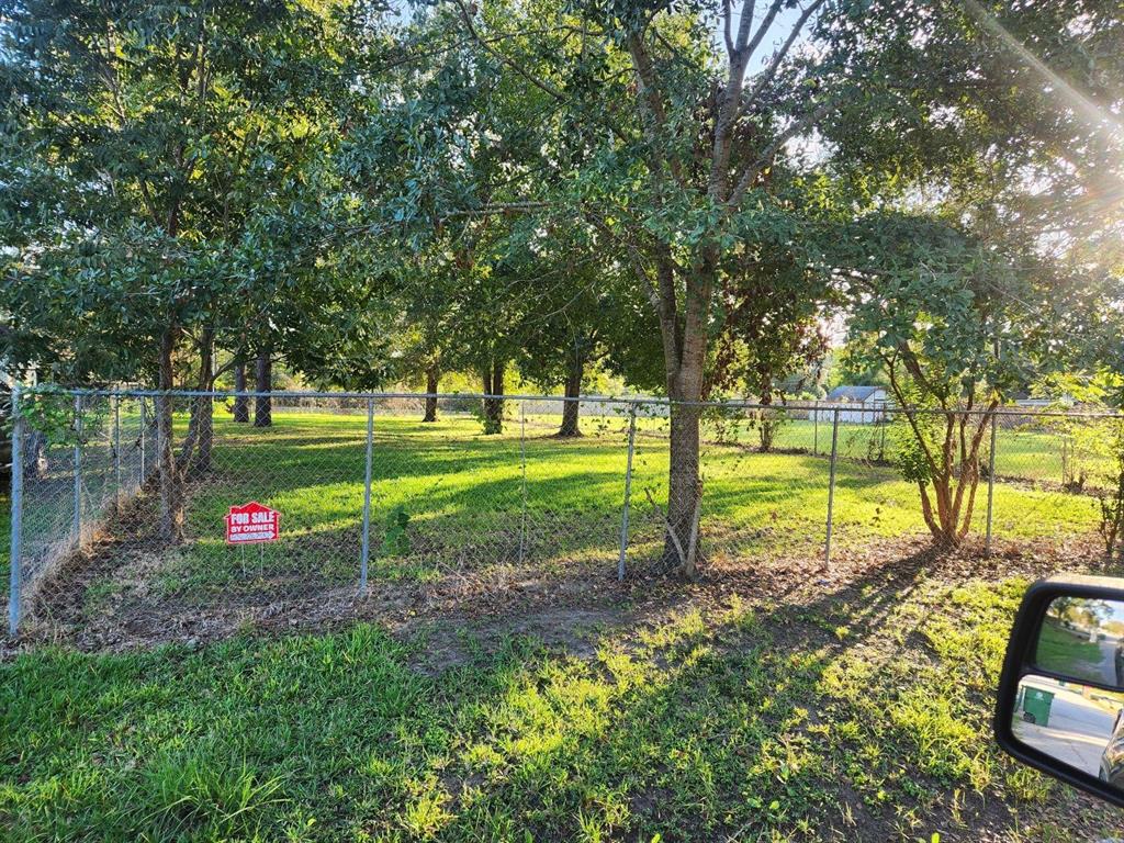 a view of a park with large trees