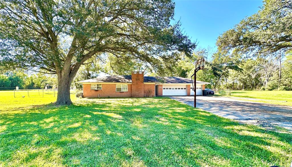 a view of a house with a yard and a tree