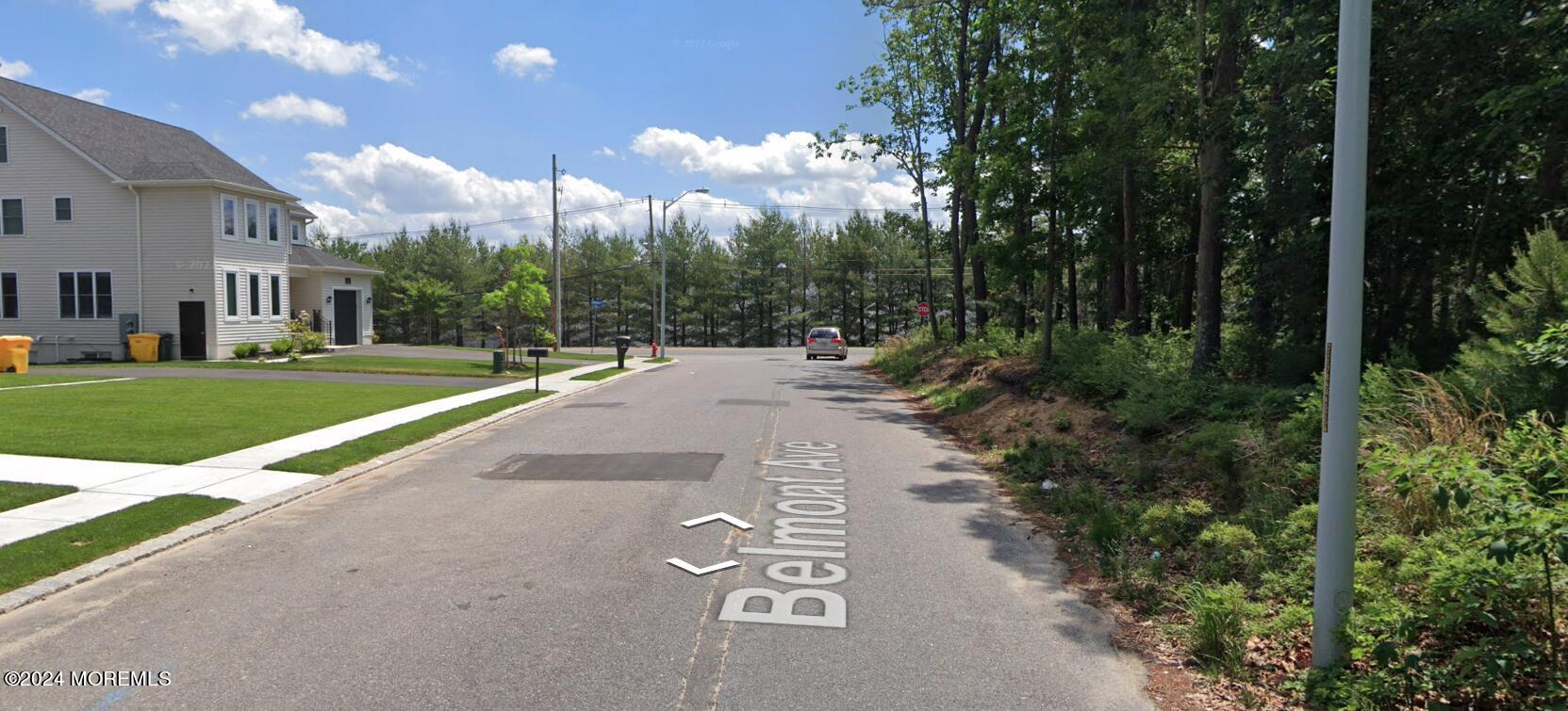 a view of a park with large trees