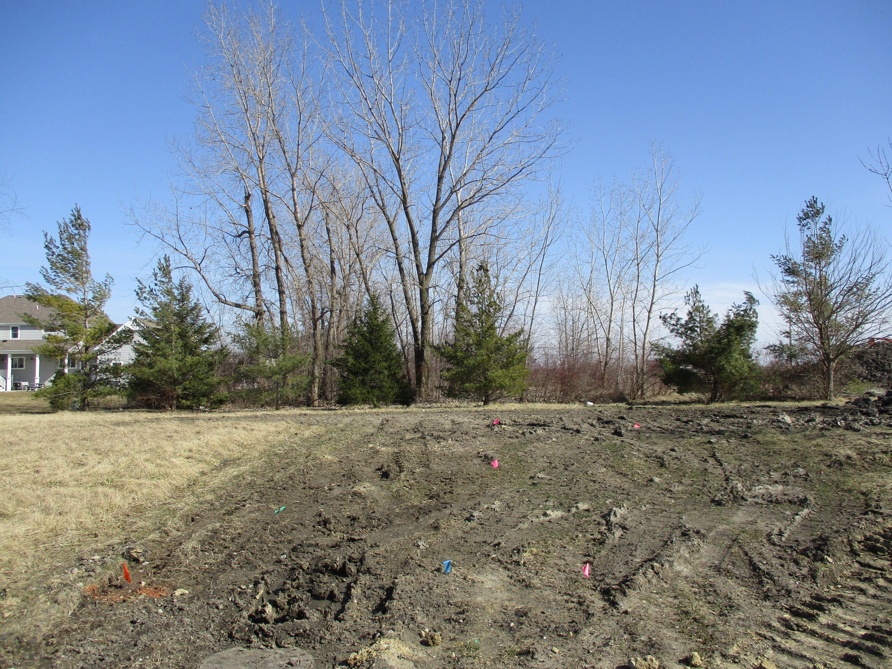 a view of a yard with trees