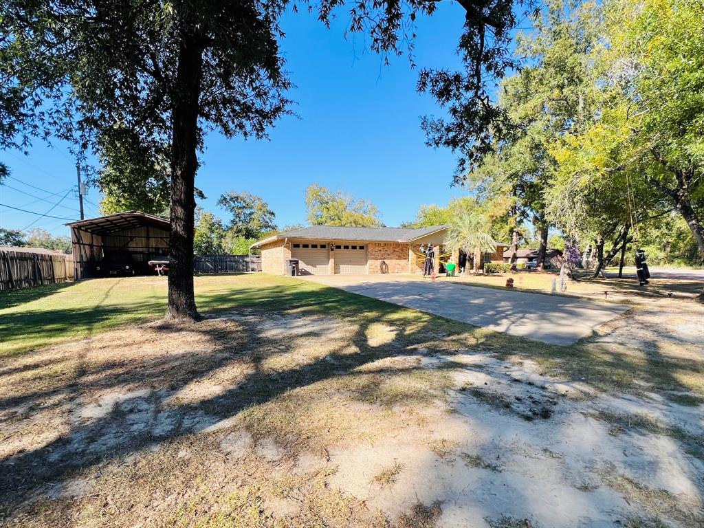 a view of yard with tree in it