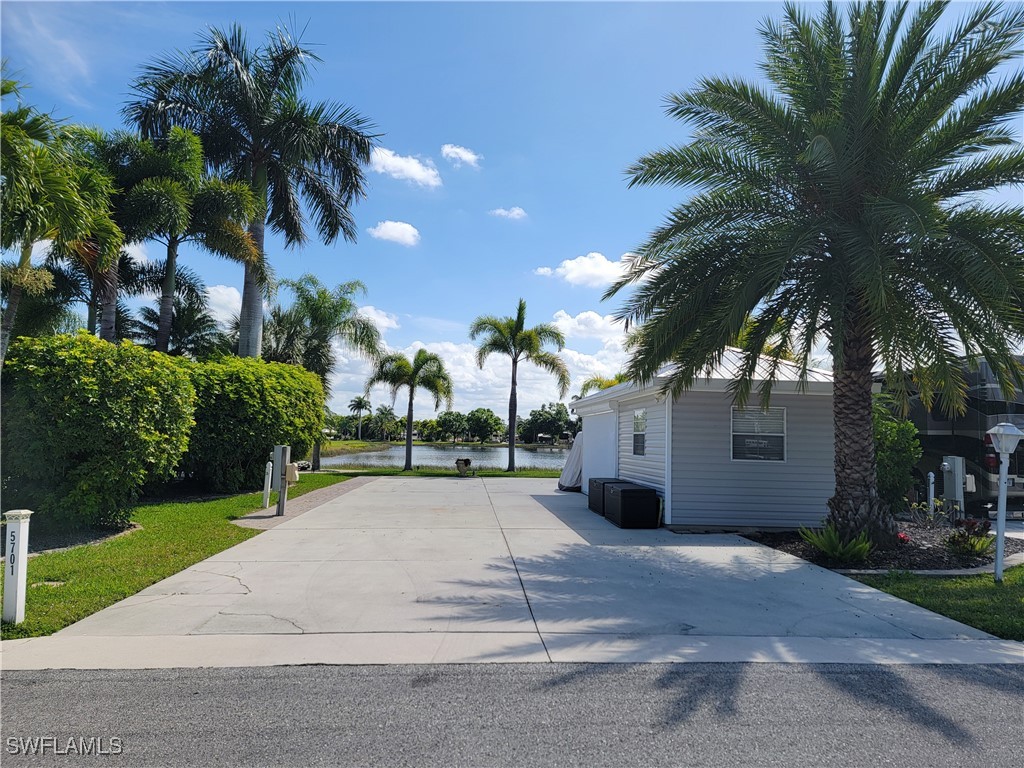 a house with palm tree in front of it