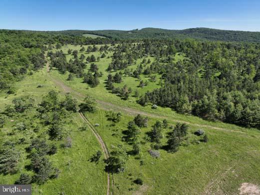 a view of city and green space