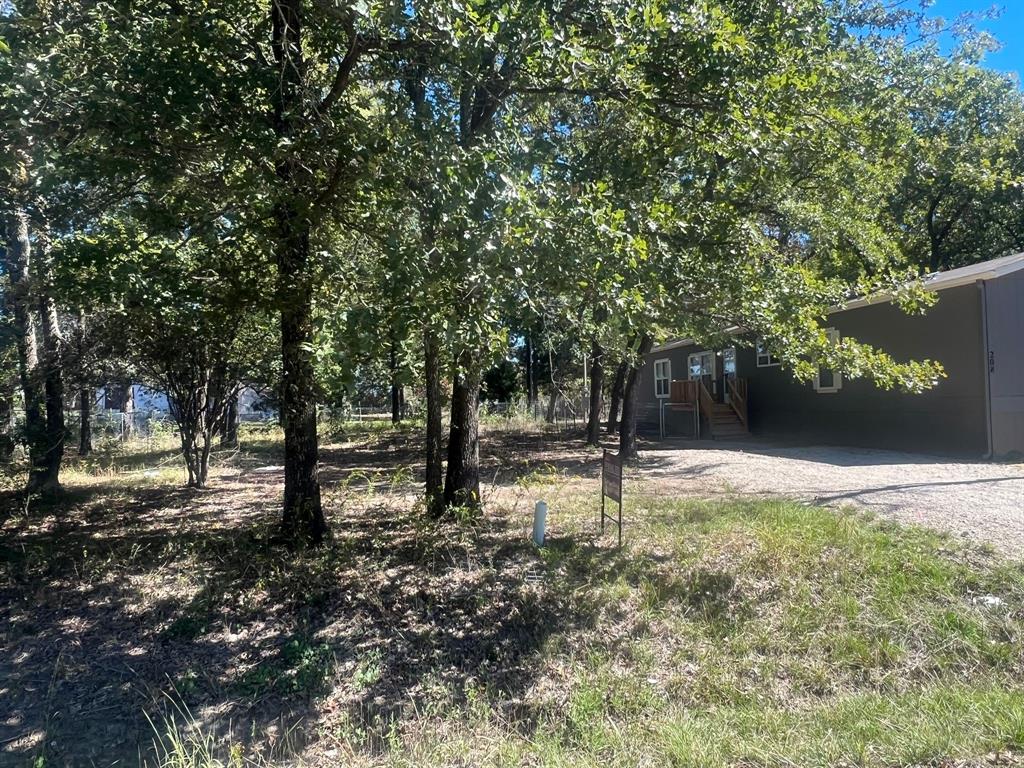 a view of a tree in the middle of a yard