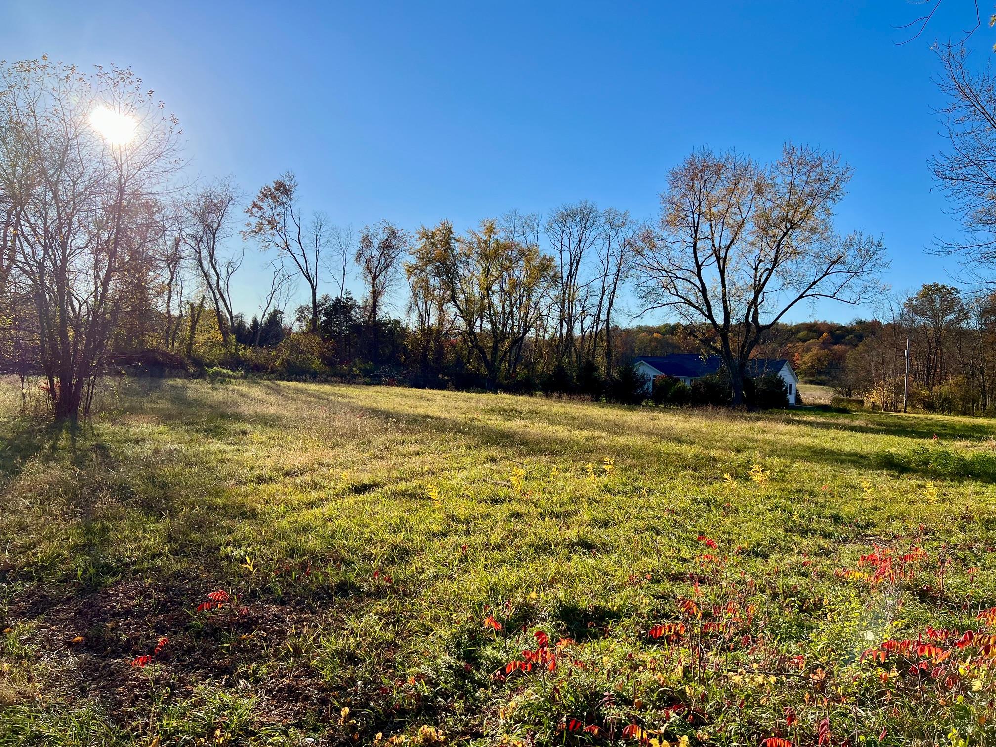 View of yard featuring a rural view