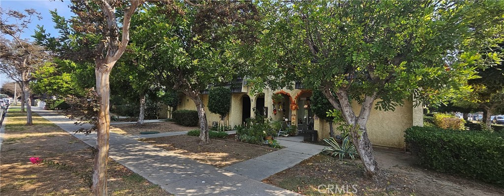 a view of a park with trees and plants