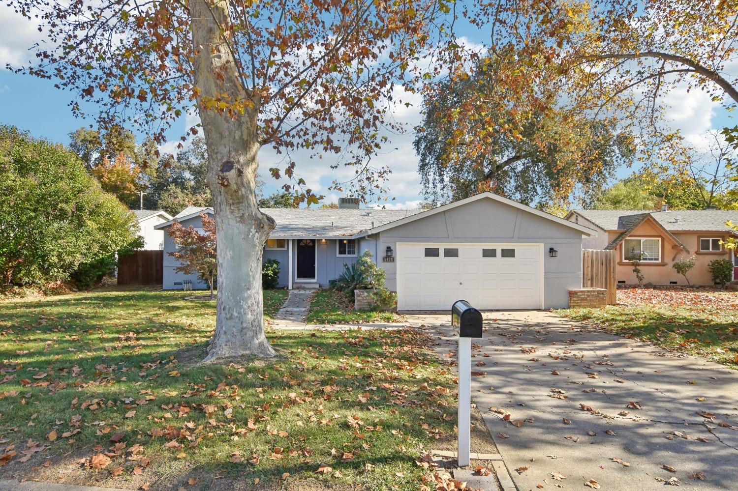 a front view of a house with a yard and large tree