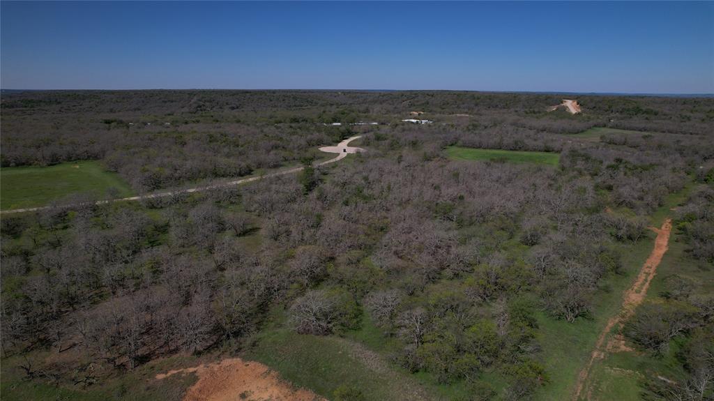 a view of a dry yard with trees