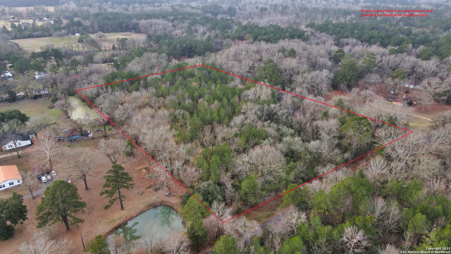 a view of a forest with a yard