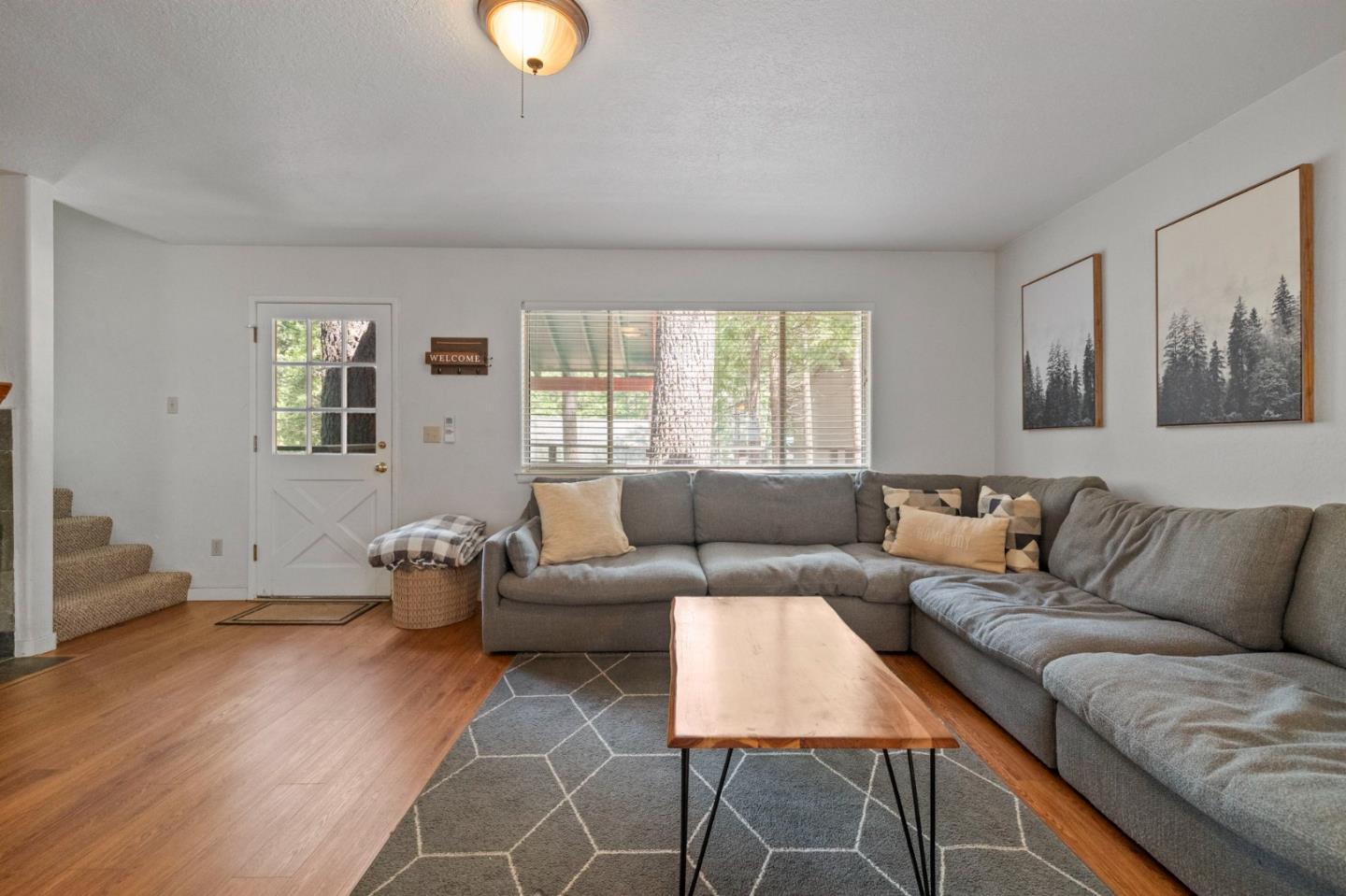 a living room with furniture and a potted plant