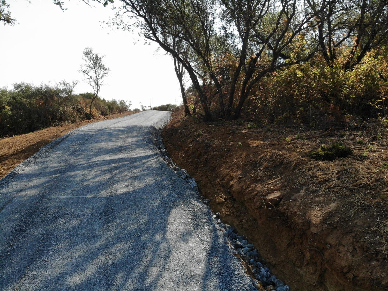 a view of road with large trees