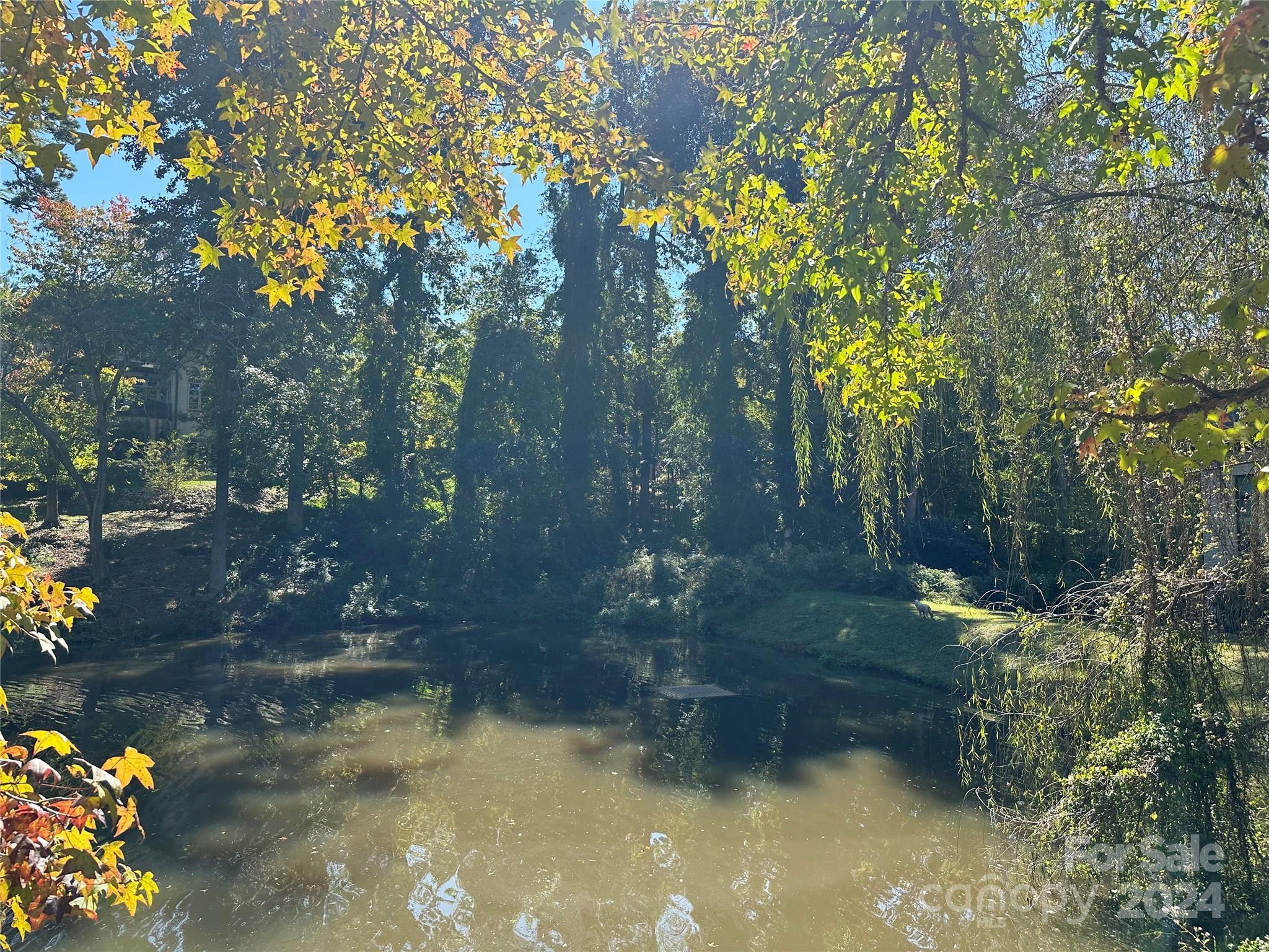 a view of a lake with a yard