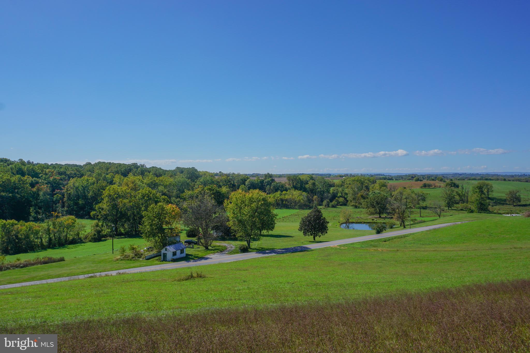 a view of a grassy field with trees in the background