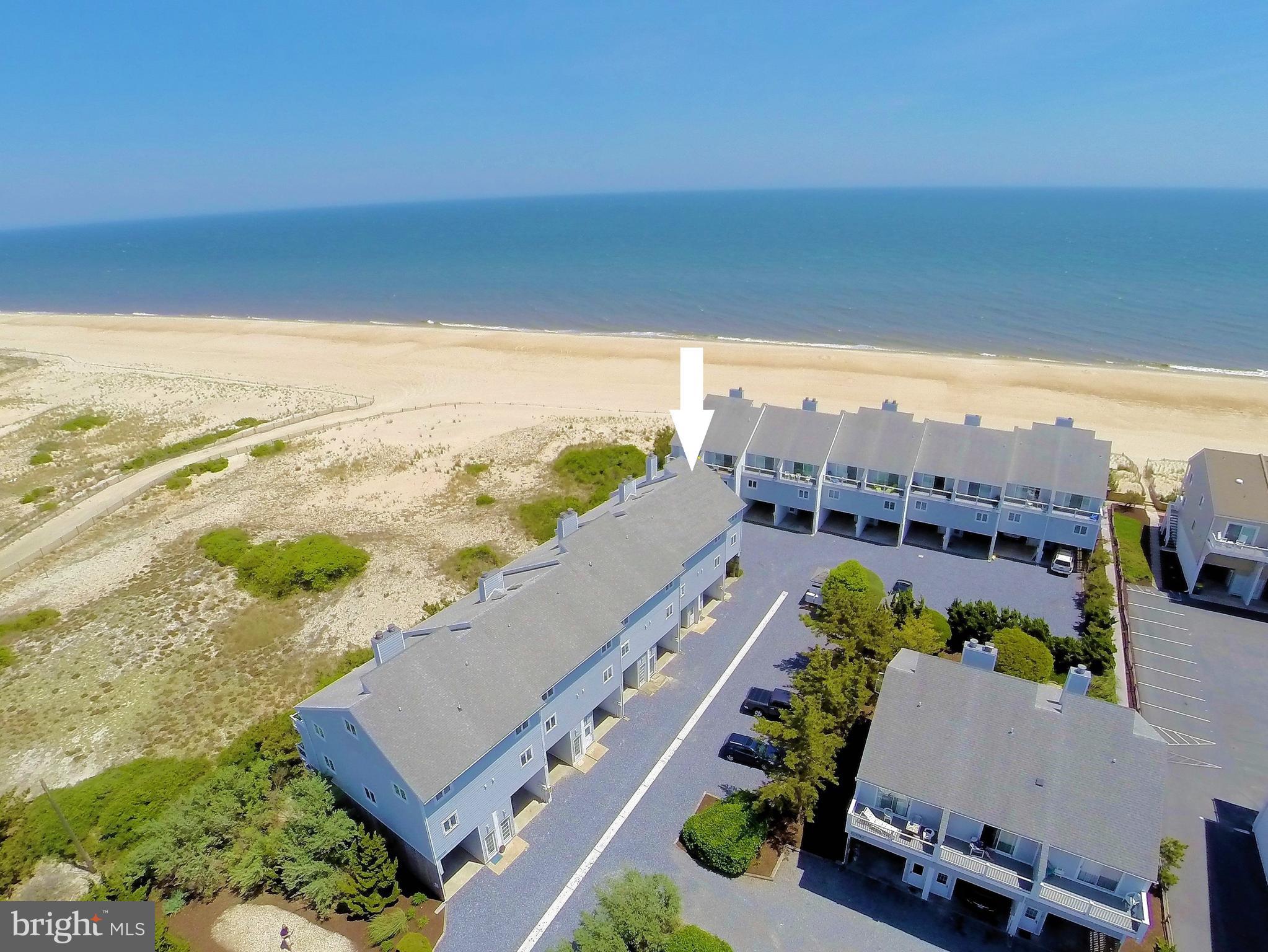 are dogs allowed on fenwick island beach