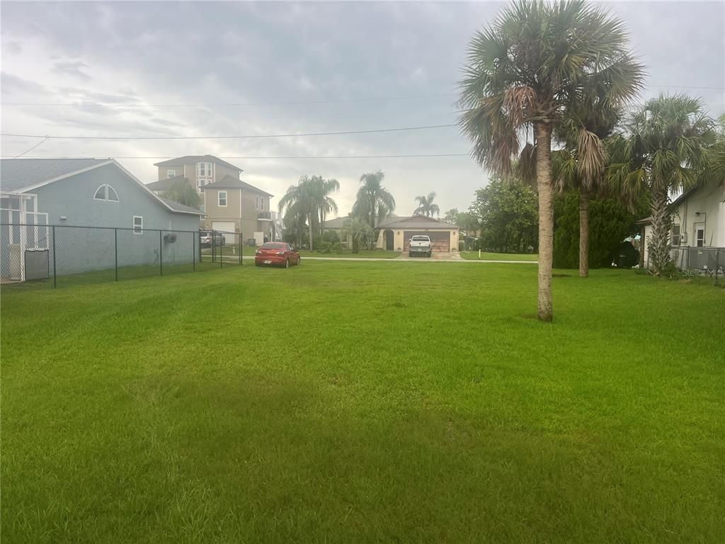 a view of a big yard with palm trees