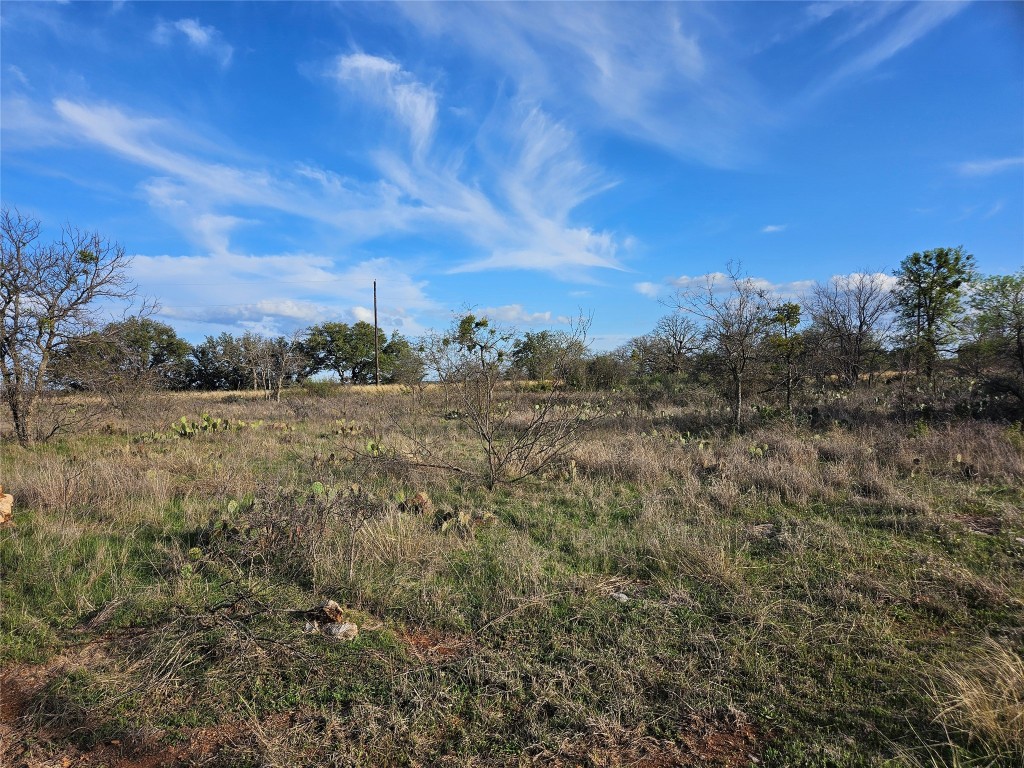 a view of a field of grass and trees