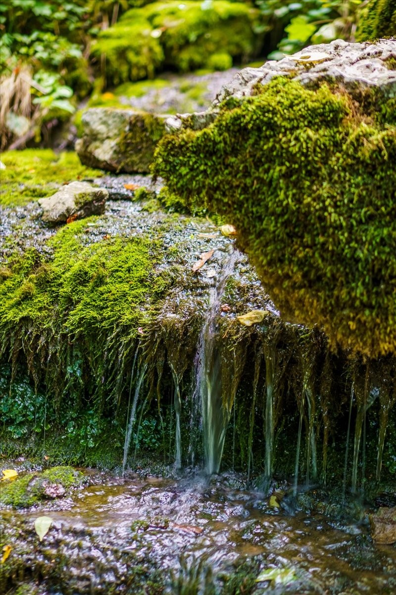 Everlasting spring water flows from the cave.