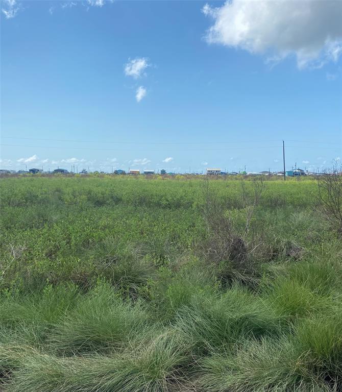 a view of a green field with lots of bushes