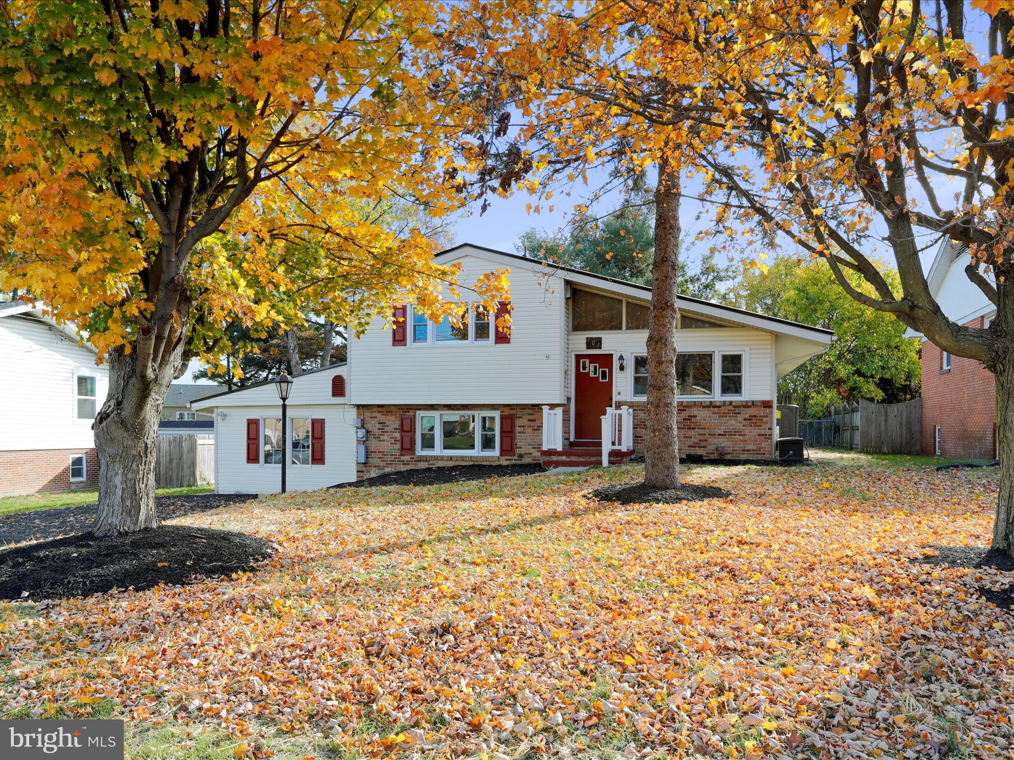 a view of a house with a tree in front of it