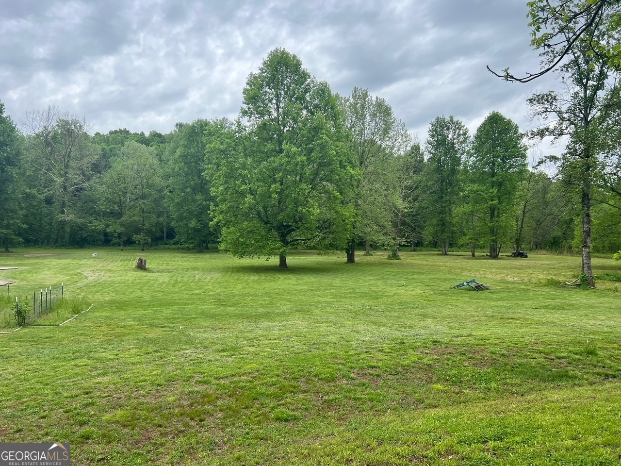 a view of a field with a tree