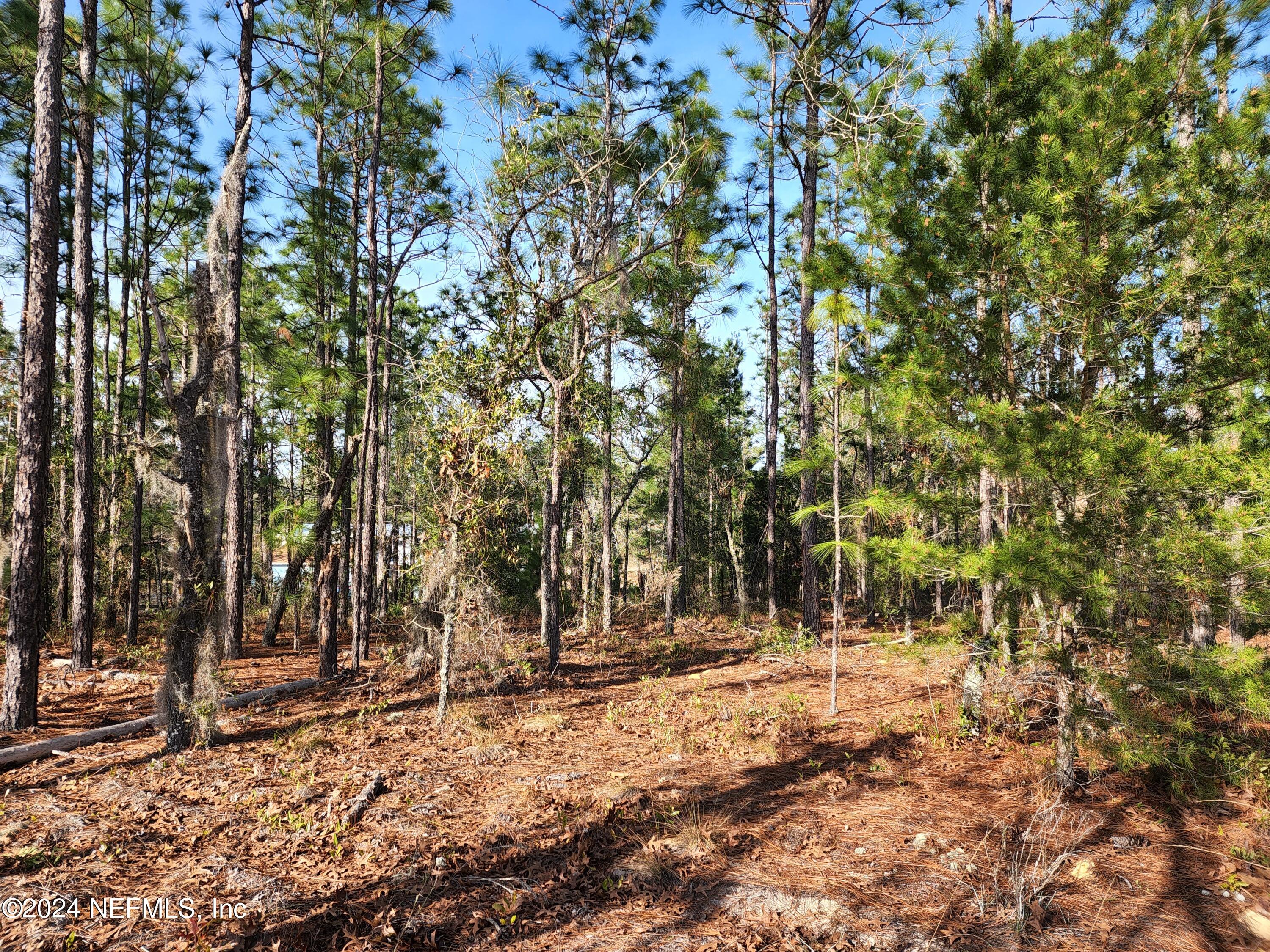 a view of covered with trees