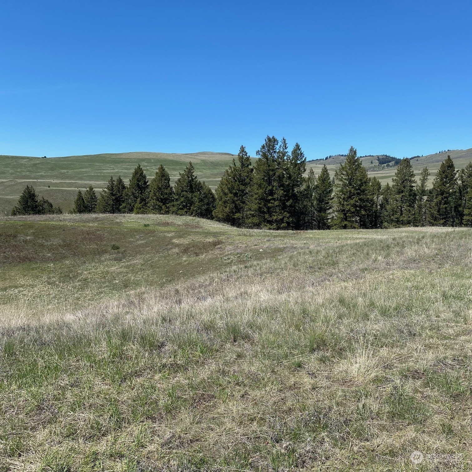 a view of dirt field and trees