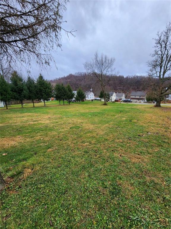 a view of a field with an trees