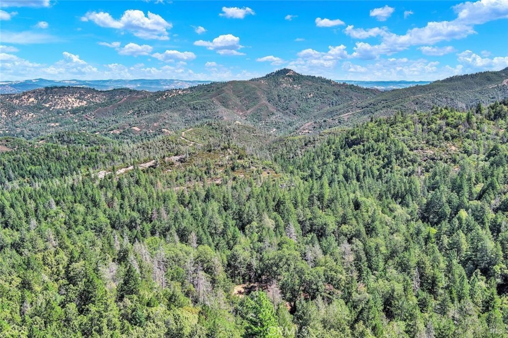 a view of a city with lush green forest