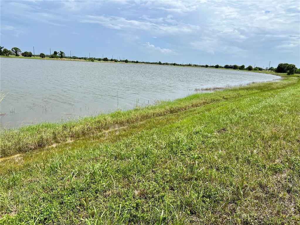 a view of a lake from a yard