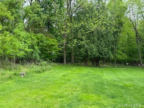 a view of a lush green space