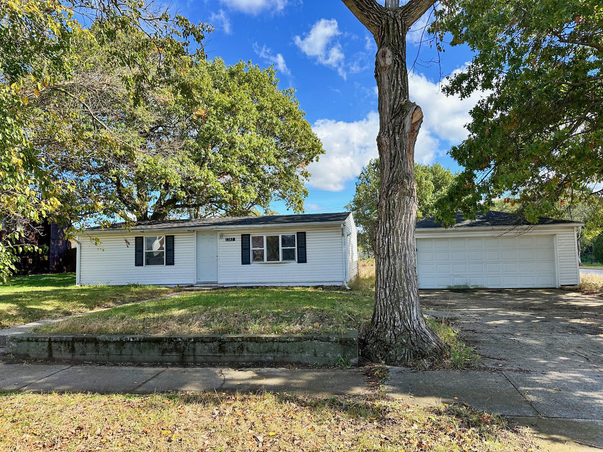 a house that has a tree in front of it