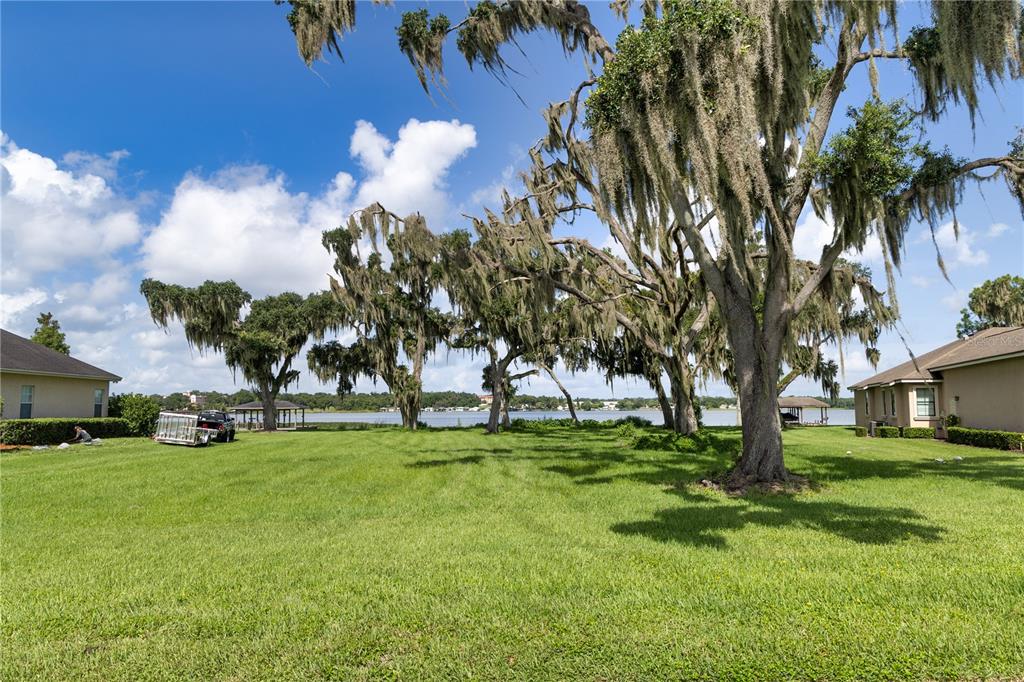 a view of a trees with a big yard