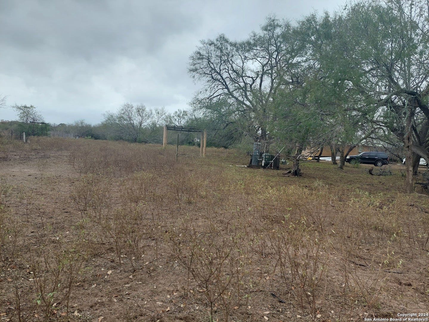 a view of dirt field with large trees